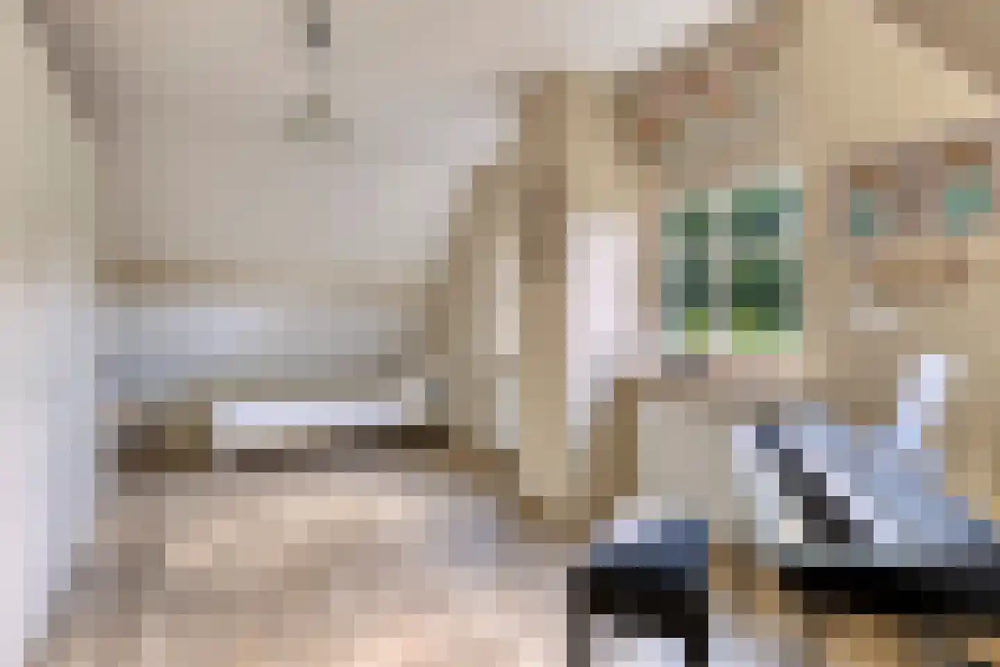 Het Bosje 31 Elst Ut thumbnail 34