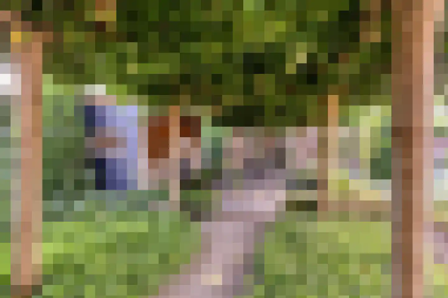 Het Bosje 31 Elst Ut thumbnail 4