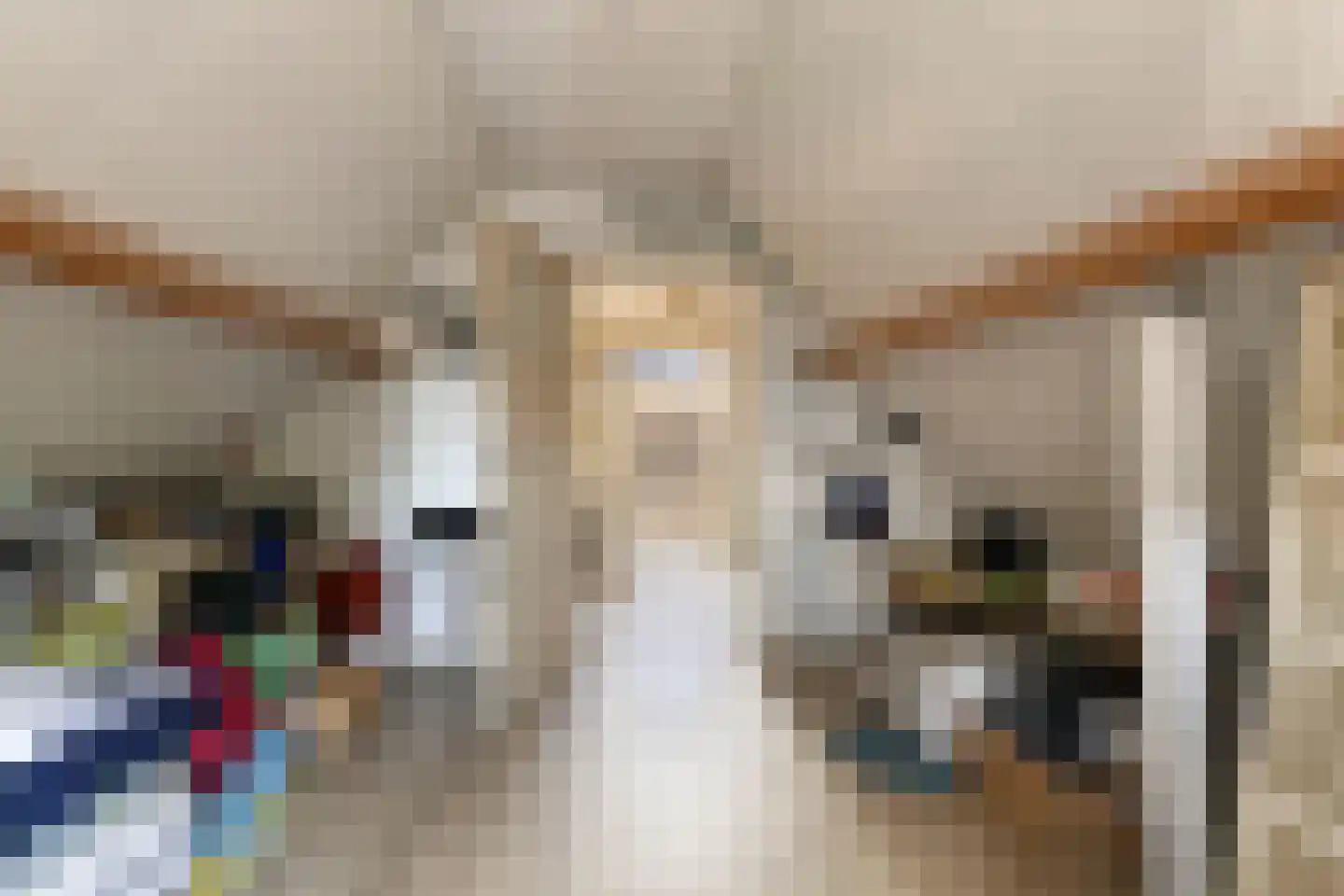 Het Bosje 31 Elst Ut thumbnail 44