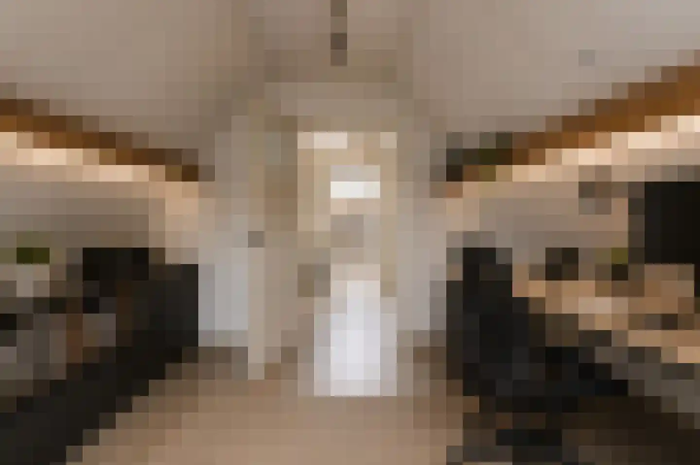 Het Bosje 31 Elst Ut thumbnail 45