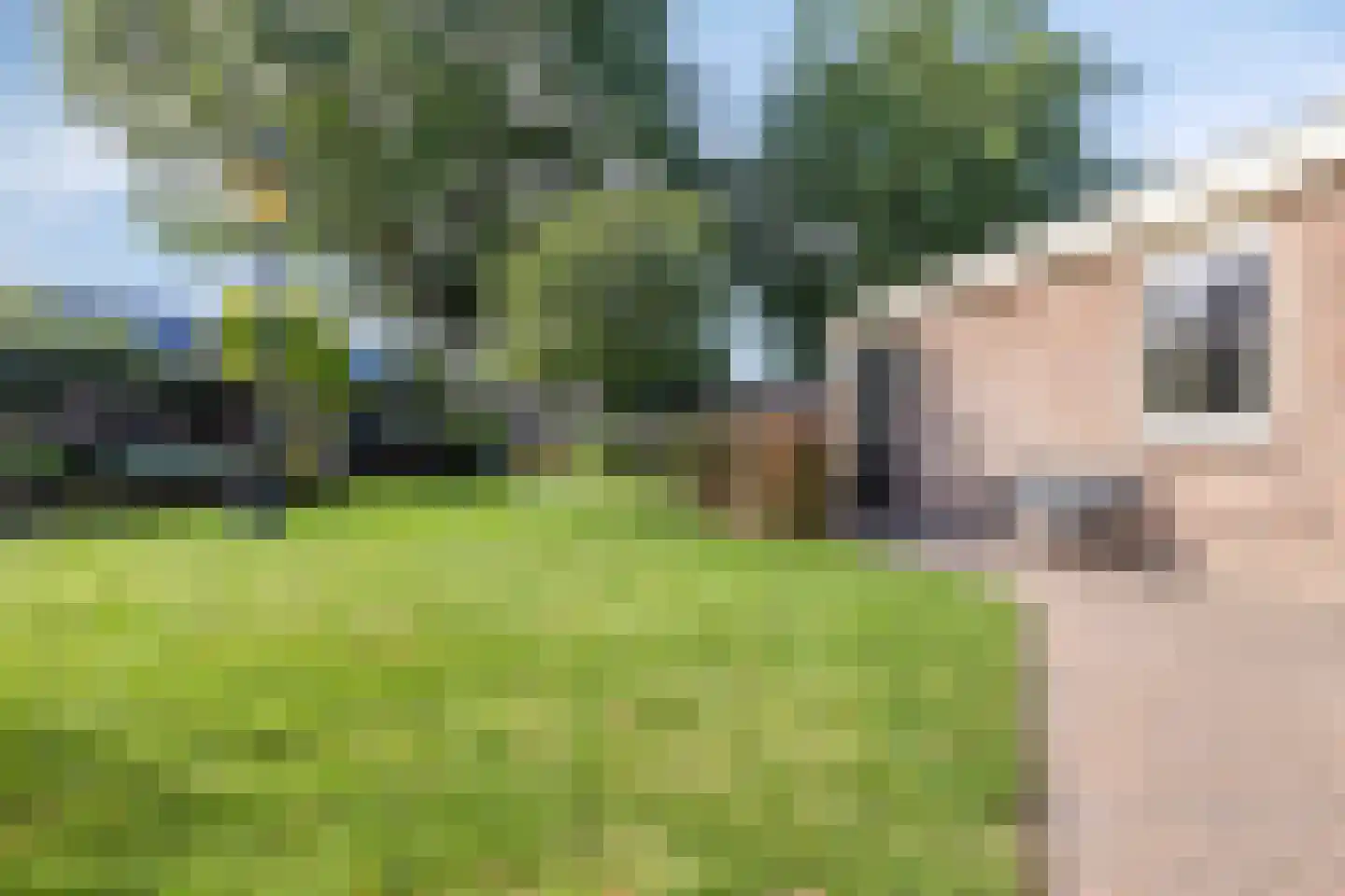 Het Bosje 31 Elst Ut thumbnail 48