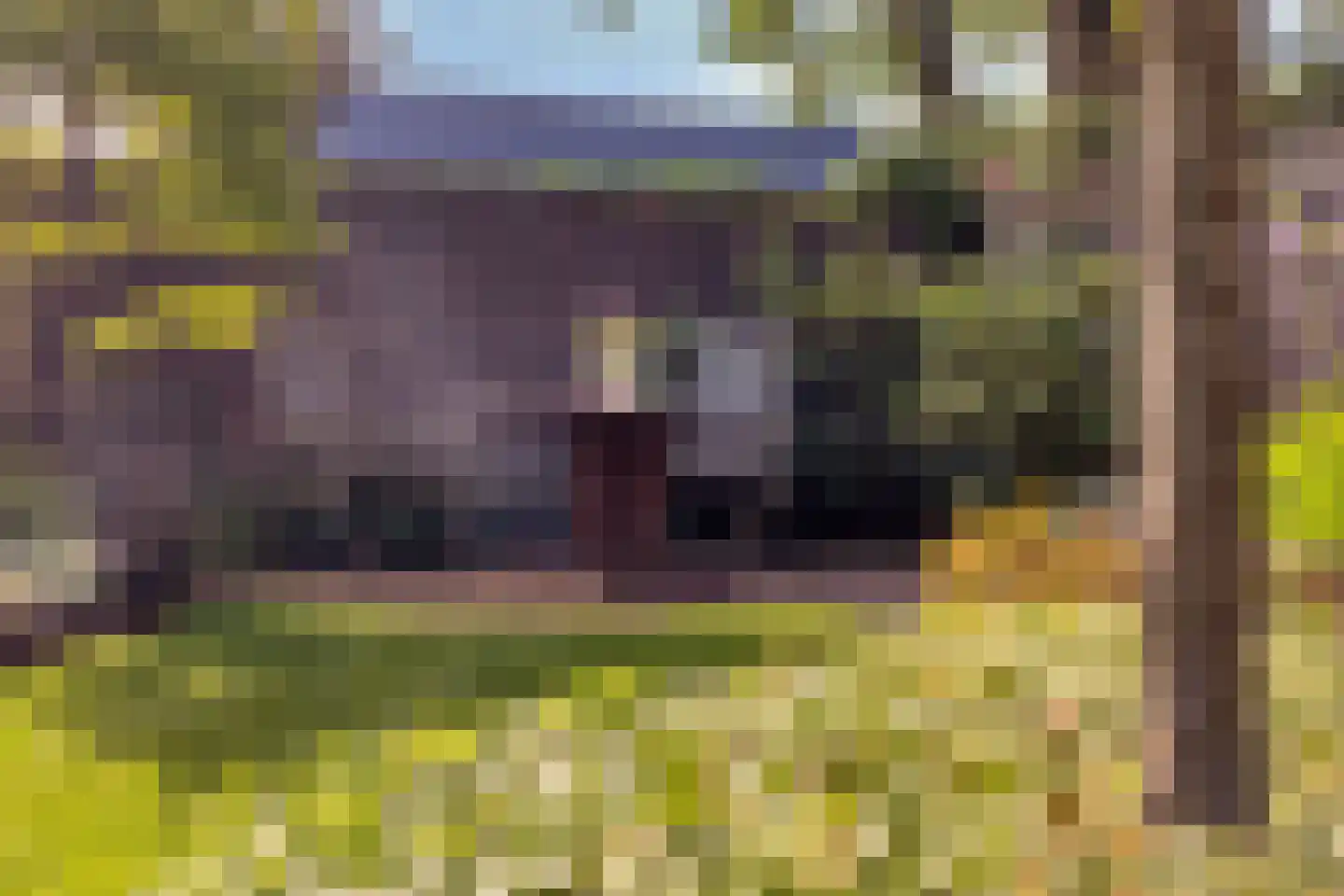 Het Bosje 31 Elst Ut thumbnail 49
