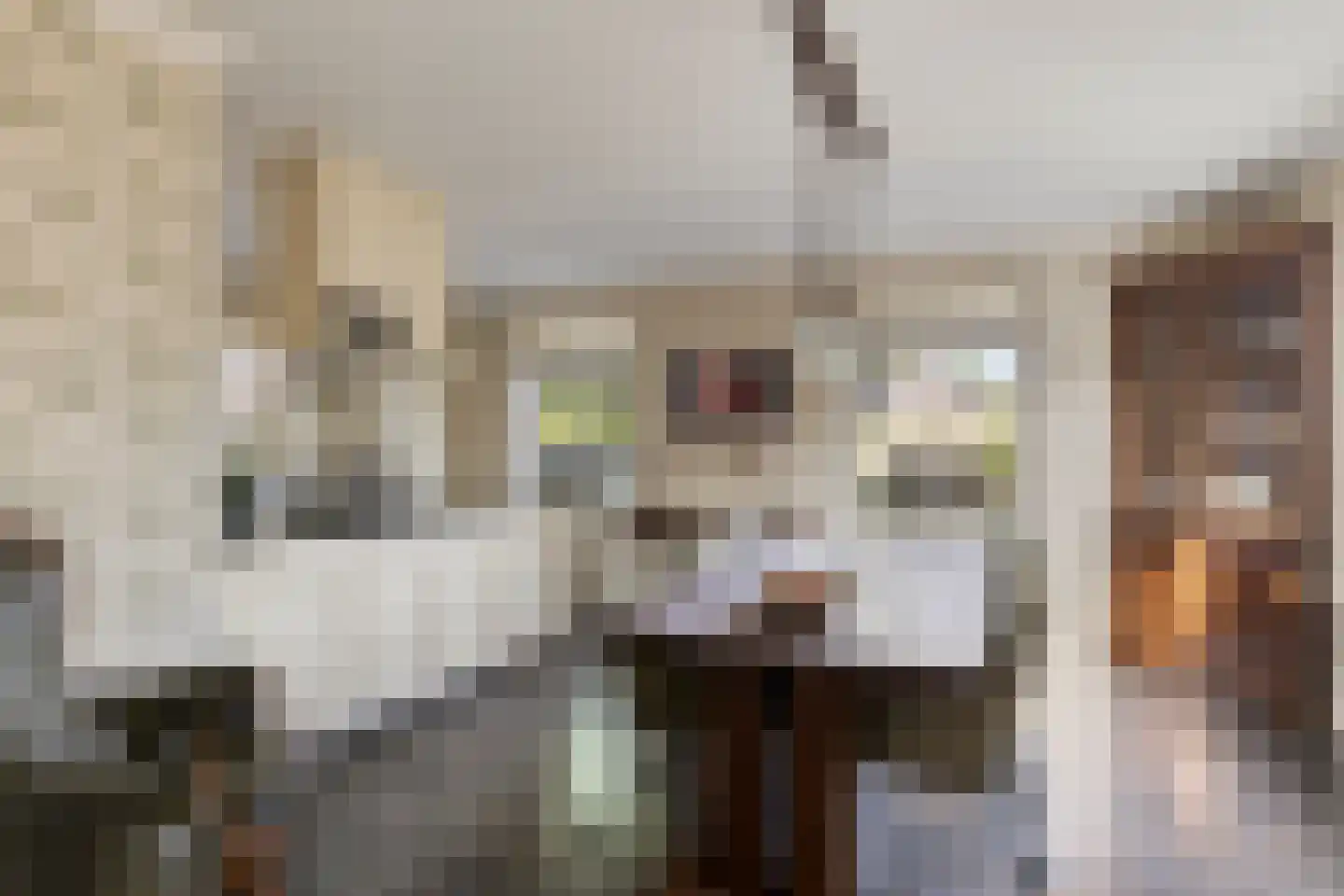 Het Bosje 31 Elst Ut thumbnail 5