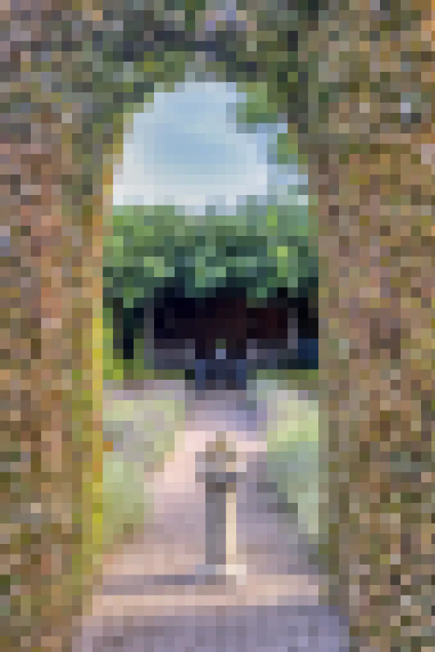 Het Bosje 31 Elst Ut thumbnail 51