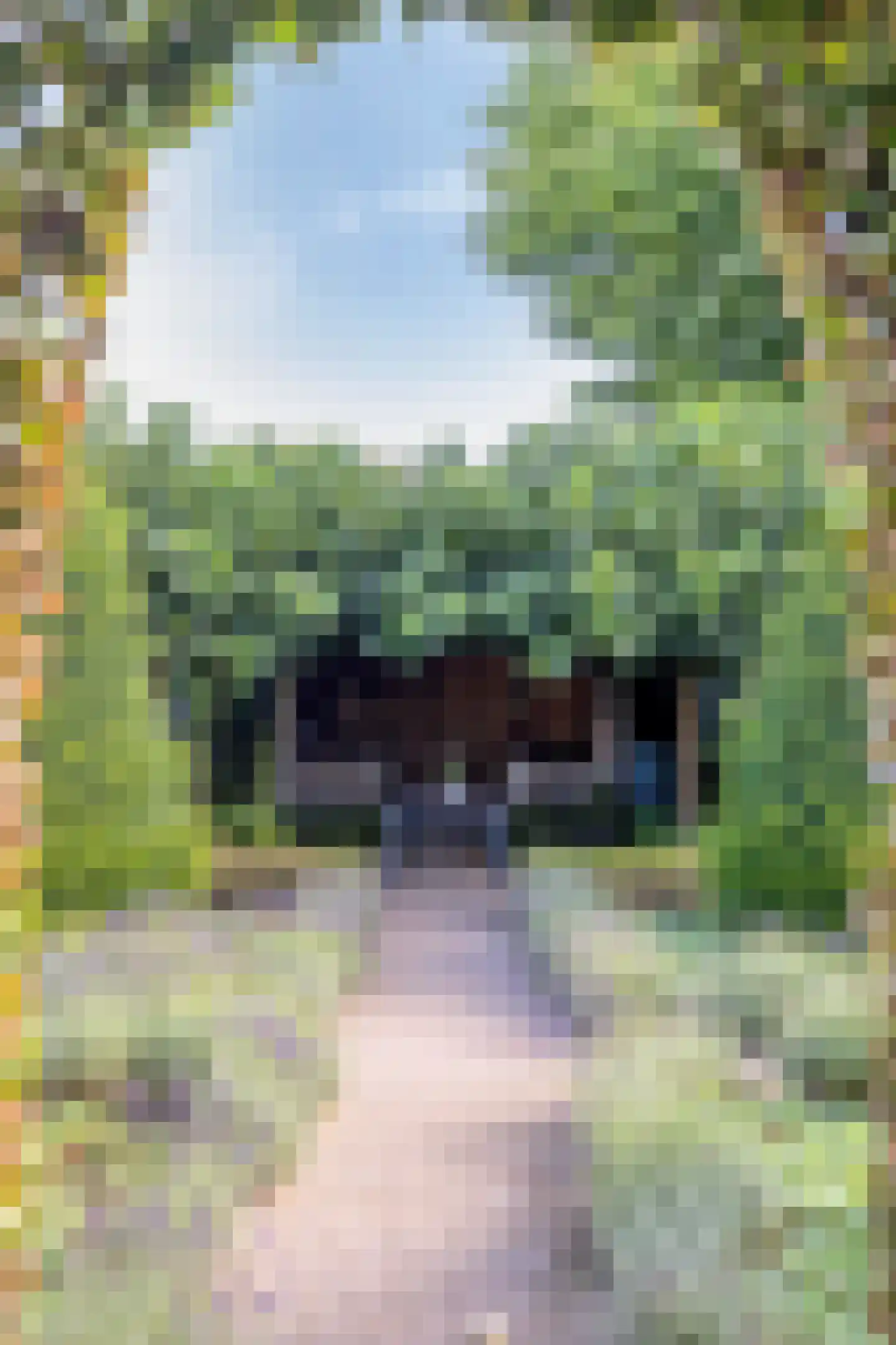 Het Bosje 31 Elst Ut thumbnail 52