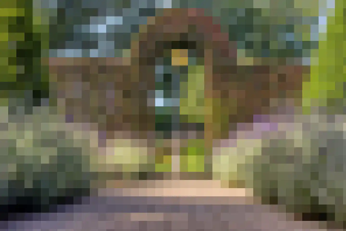 Het Bosje 31 Elst Ut thumbnail 53