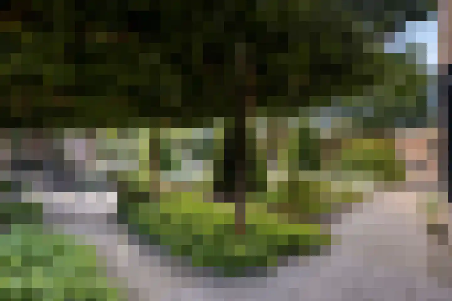 Het Bosje 31 Elst Ut thumbnail 54