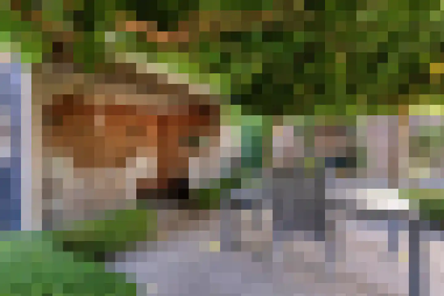 Het Bosje 31 Elst Ut thumbnail 56