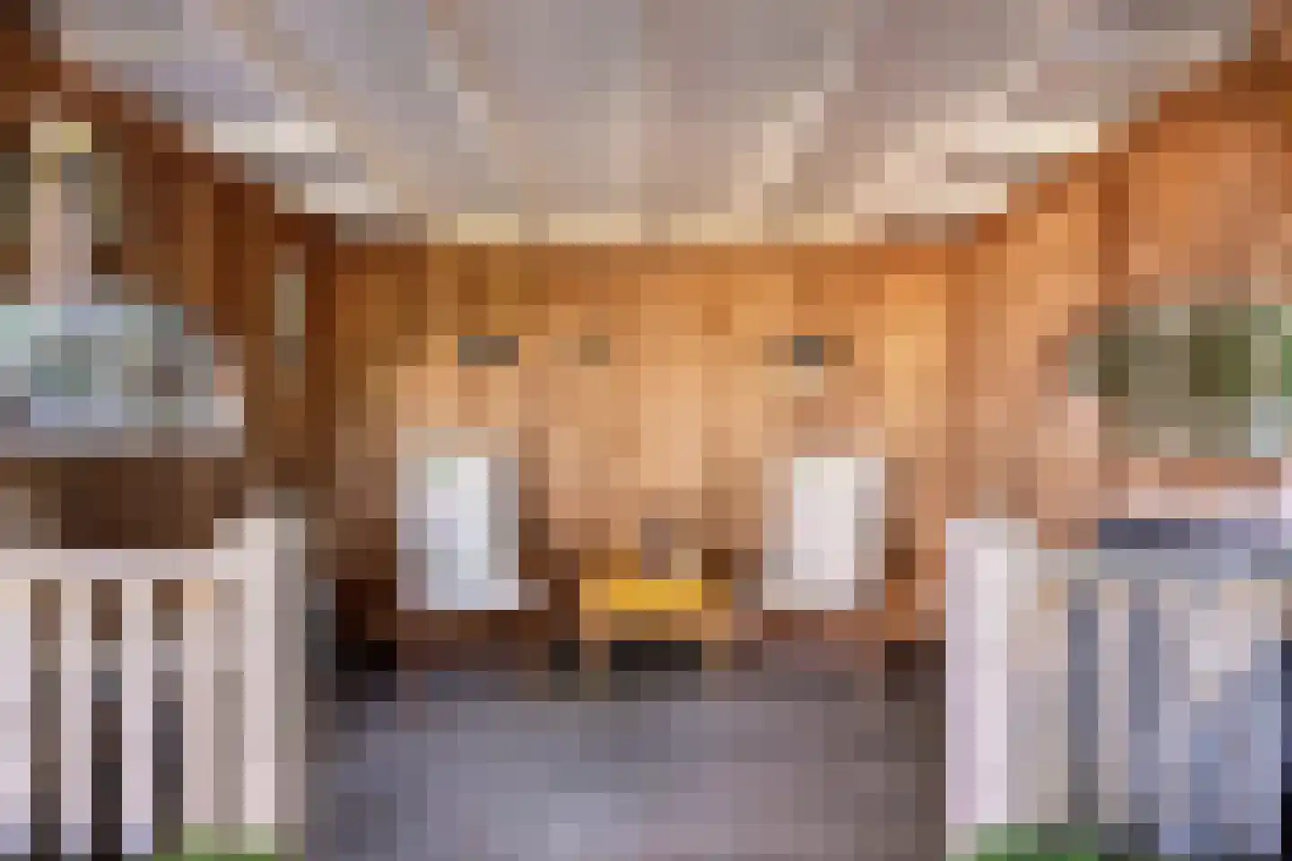 Het Bosje 31 Elst Ut thumbnail 59