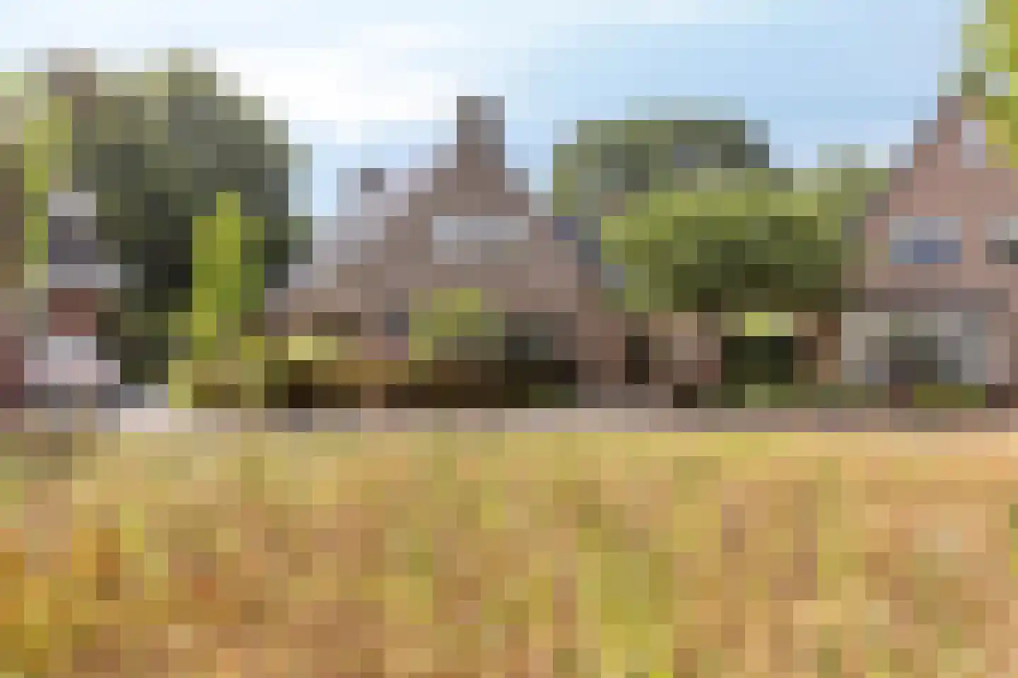 Het Bosje 31 Elst Ut thumbnail 6