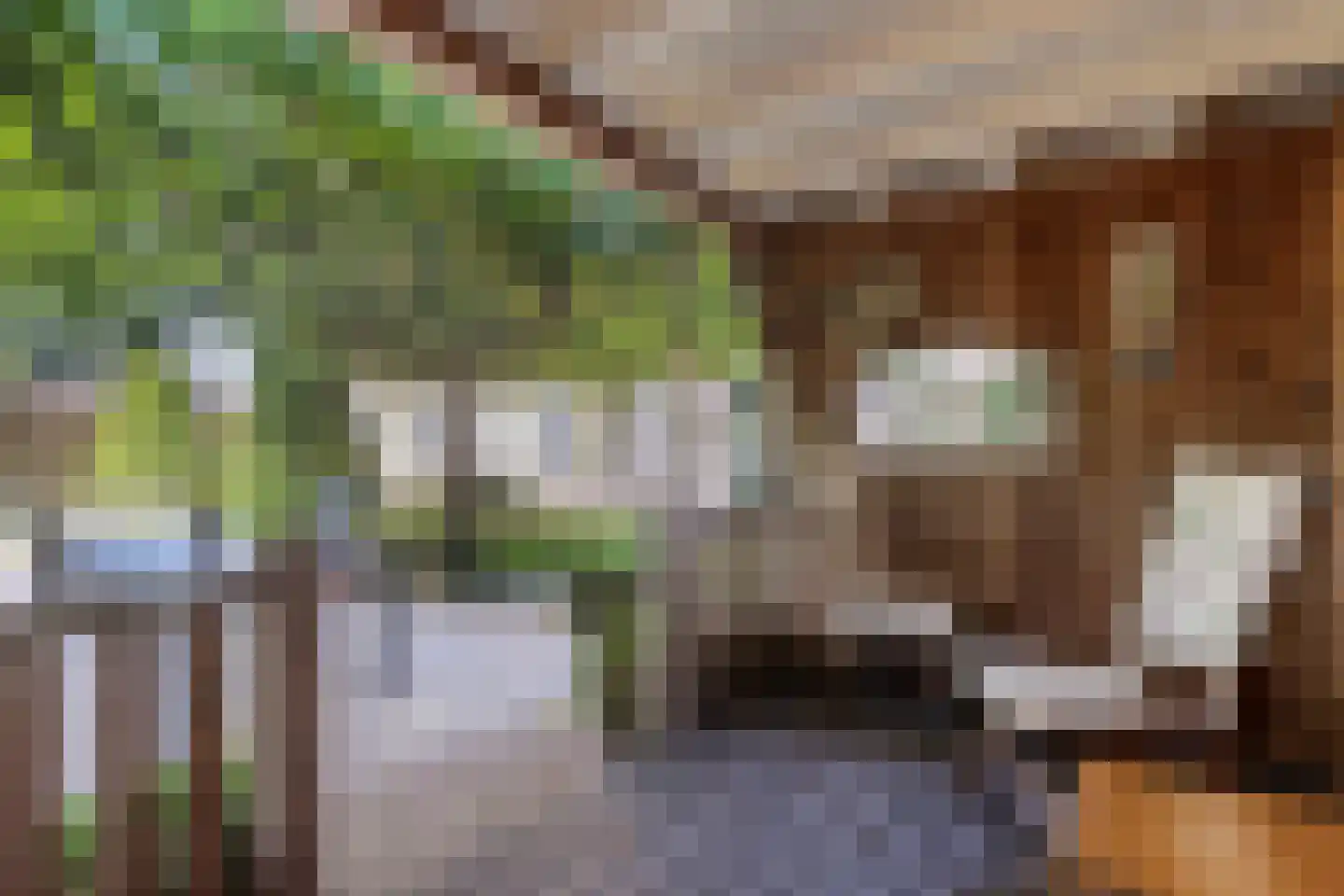 Het Bosje 31 Elst Ut thumbnail 60