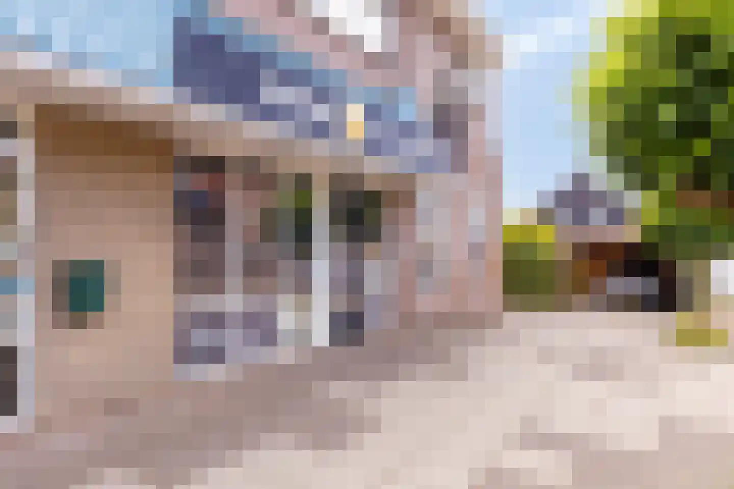 Het Bosje 31 Elst Ut thumbnail 63