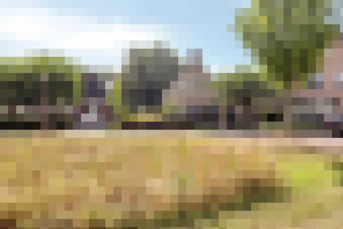 Het Bosje 31 Elst Ut thumbnail 65