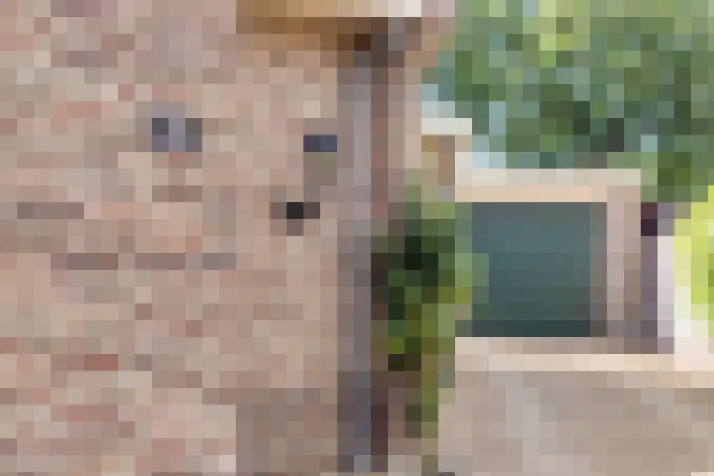 Het Bosje 31 Elst Ut thumbnail 7