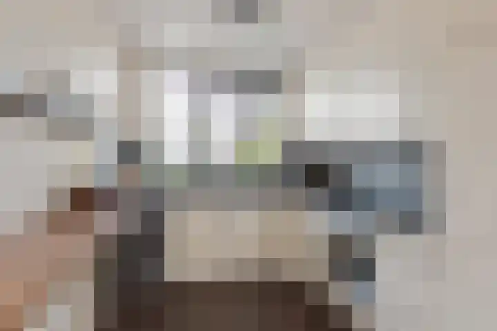 Het Bosman 17 Denekamp thumbnail 12