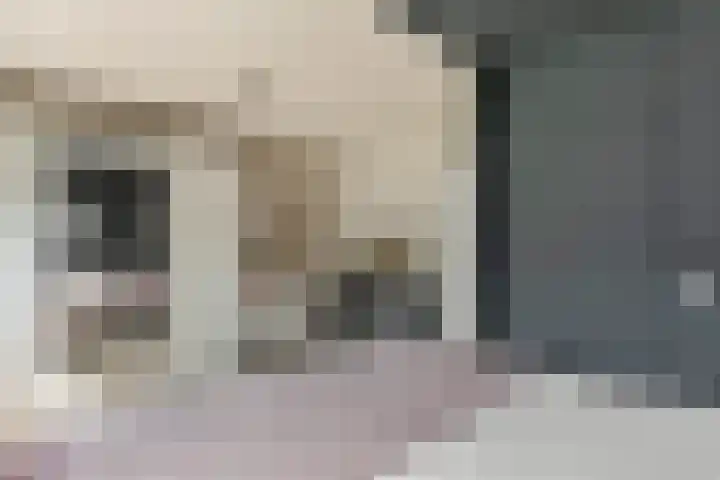 Het Bosman 17 Denekamp thumbnail 15