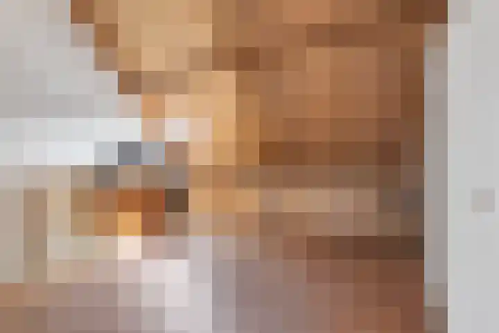 Het Bosman 17 Denekamp thumbnail 18