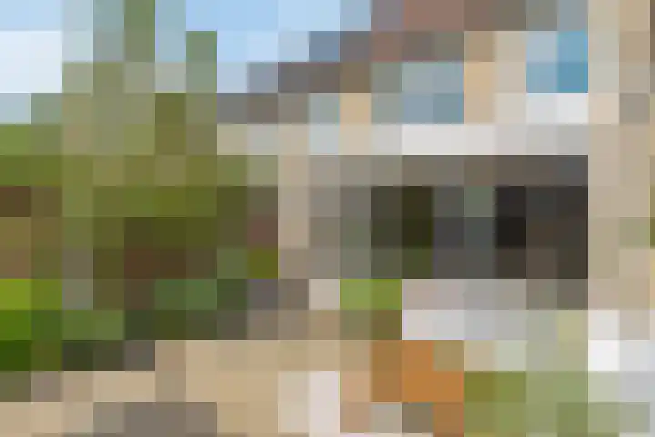 Het Bosman 17 Denekamp thumbnail 19
