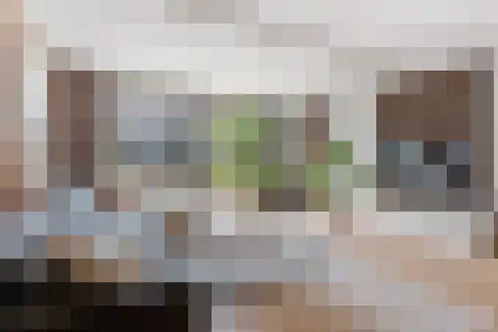 Het Bosman 17 Denekamp foto 2