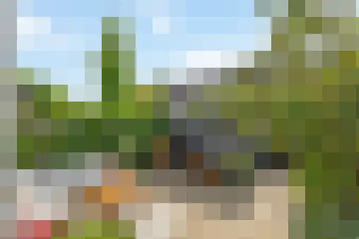 Het Bosman 17 Denekamp thumbnail 20