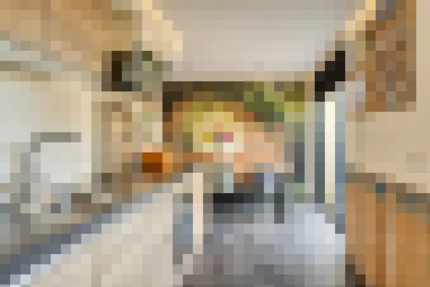 Het Bosman 34 Denekamp foto 3