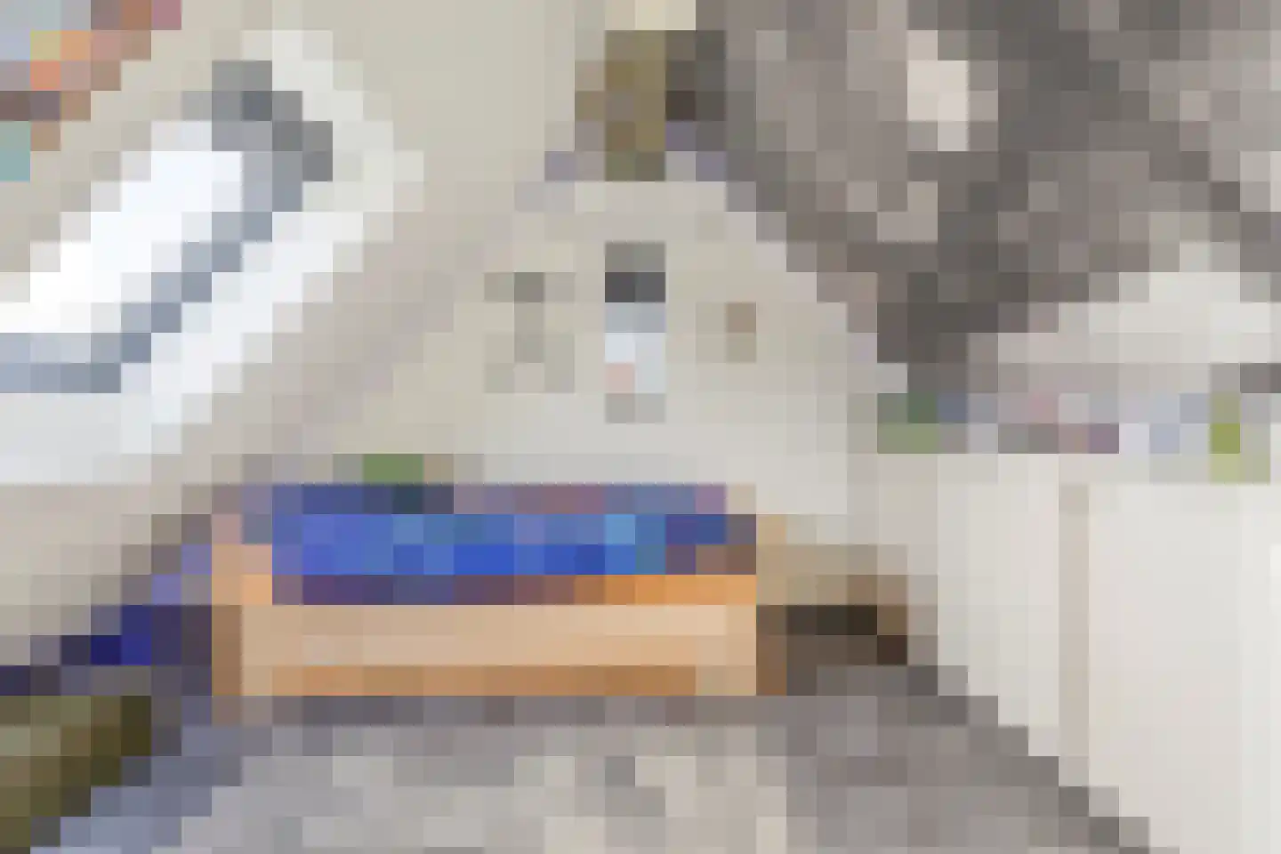 Het Bosman 34 Denekamp thumbnail 33