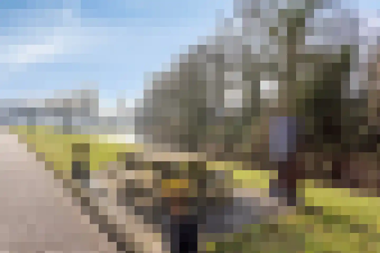 Het Bosman 34 Denekamp thumbnail 44