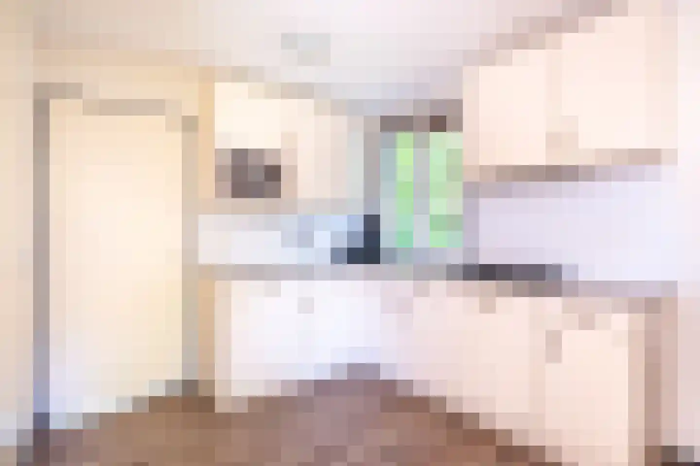 Het Bosmeer 2 Noordwolde thumbnail 11