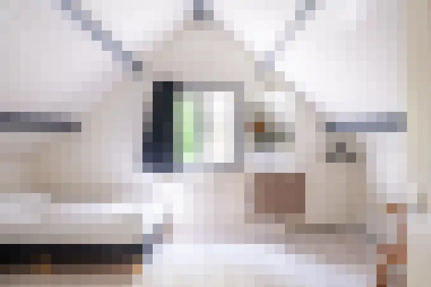 Het Bosmeer 2 Noordwolde thumbnail 20