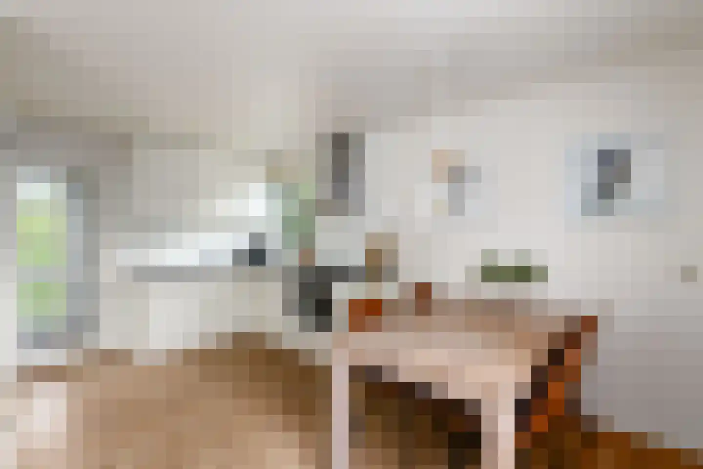 Het Bosmeer 22 Noordwolde thumbnail 10
