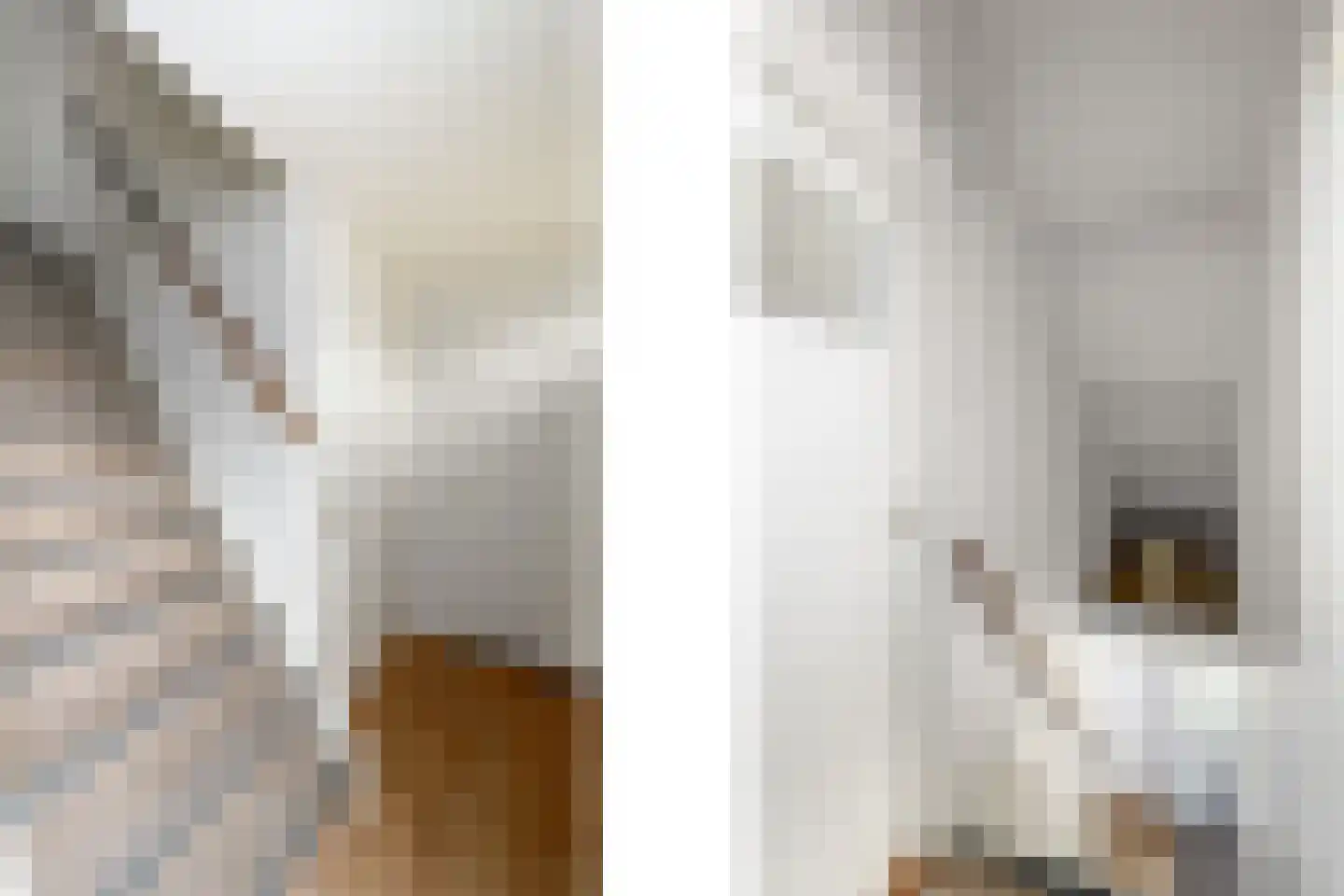 Het Bosmeer 22 Noordwolde thumbnail 17