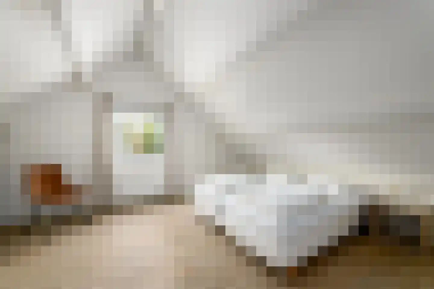 Het Bosmeer 22 Noordwolde thumbnail 18