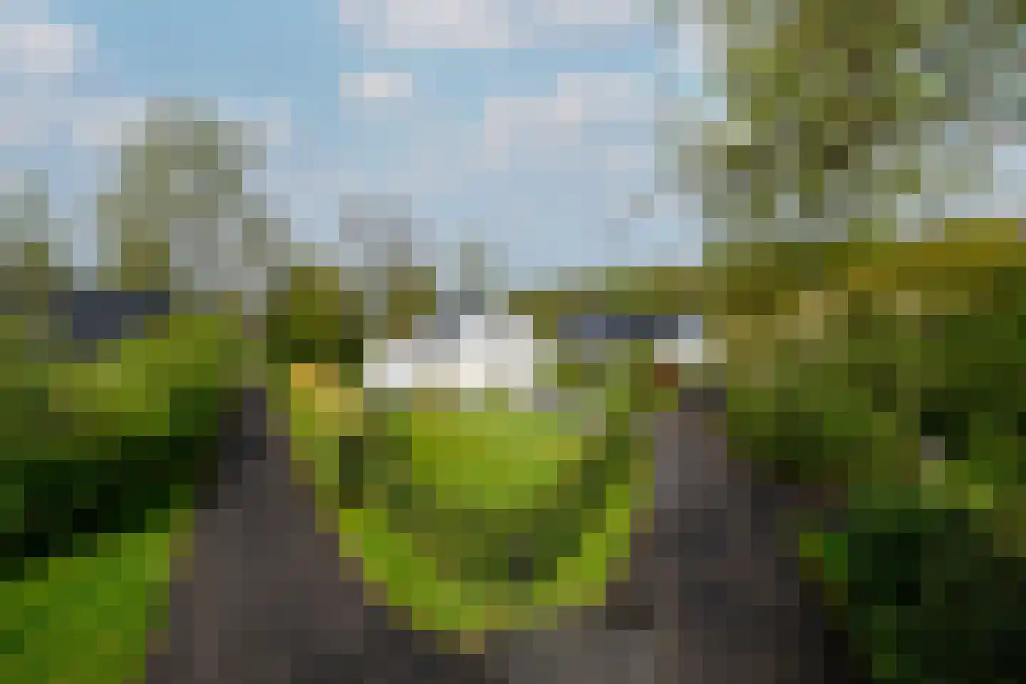 Het Bosmeer 22 Noordwolde foto 2