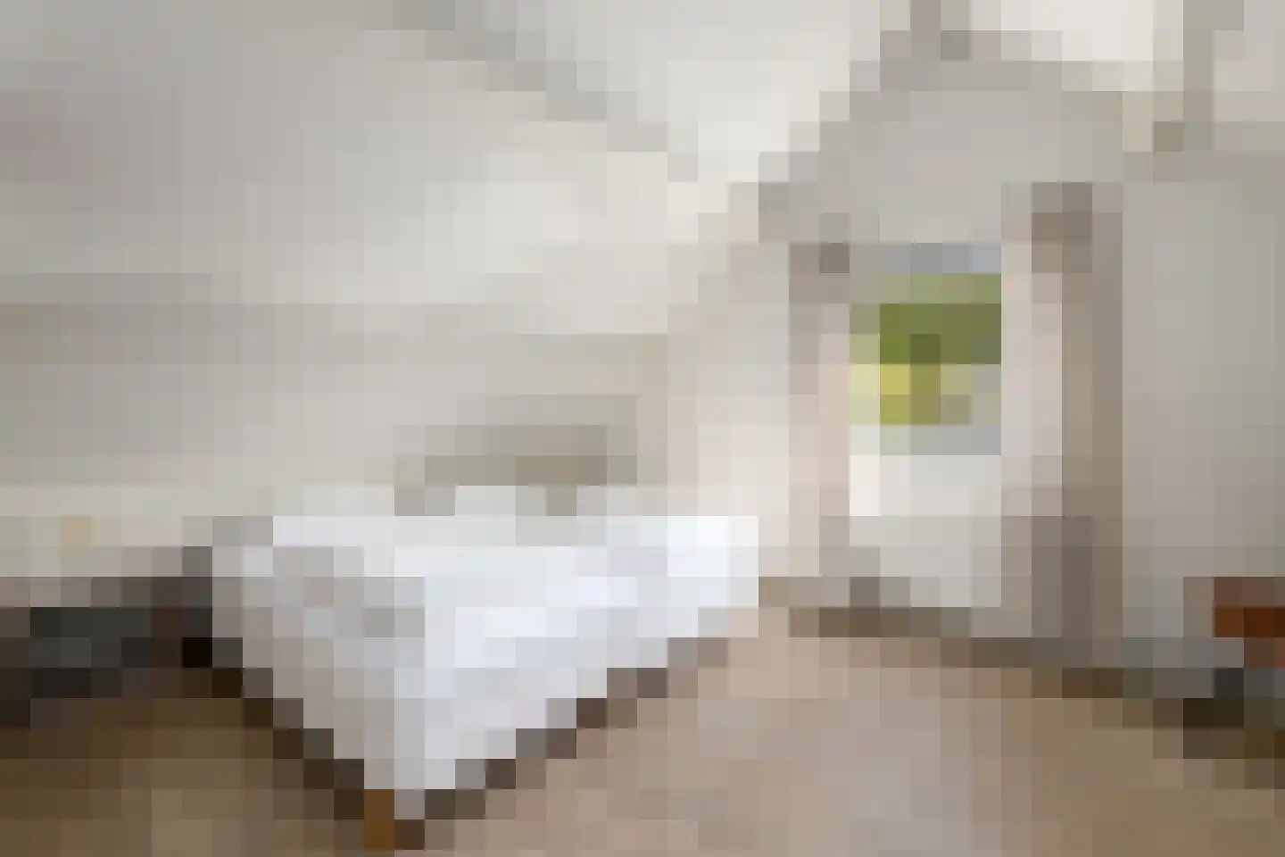 Het Bosmeer 22 Noordwolde thumbnail 22