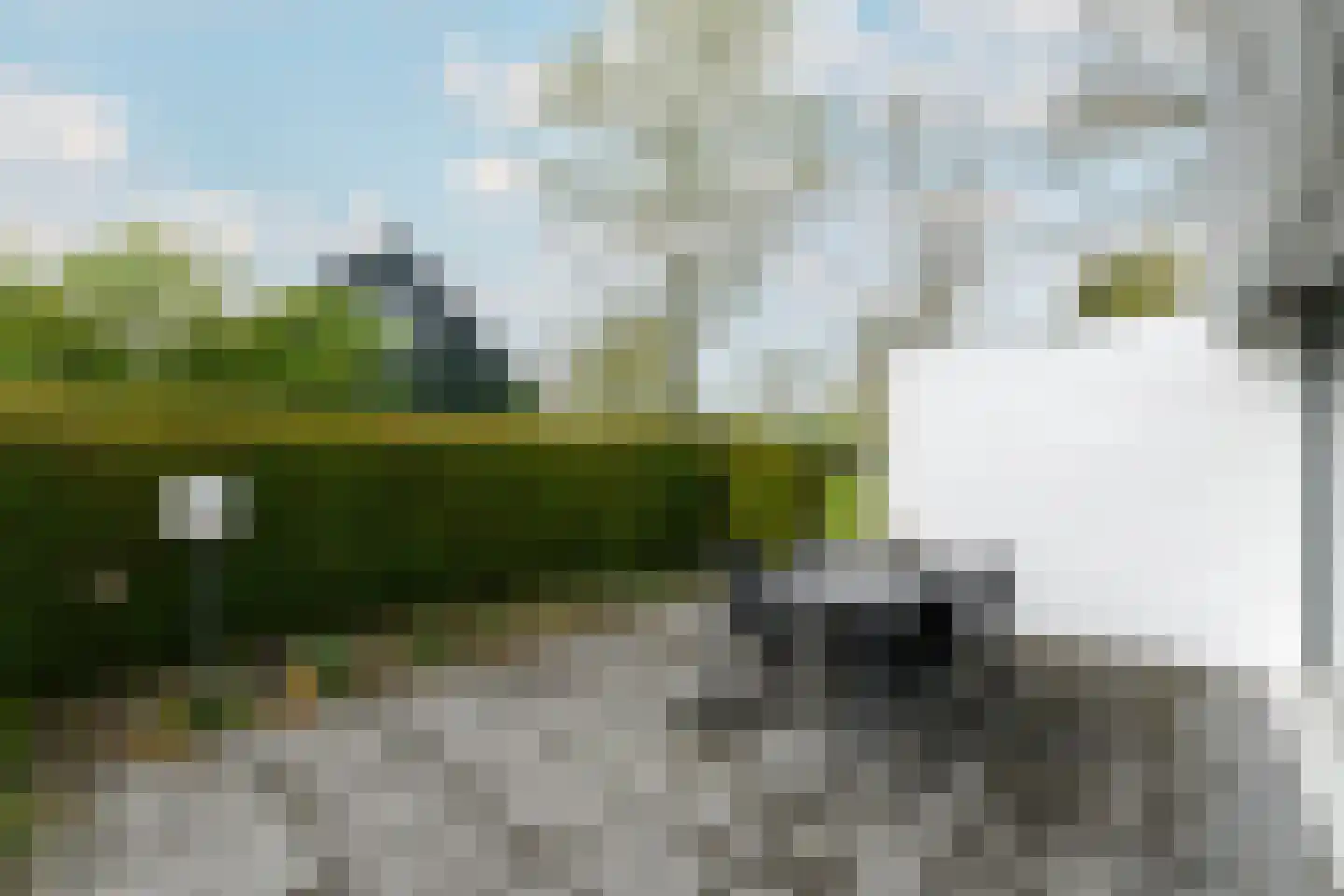 Het Bosmeer 22 Noordwolde thumbnail 29