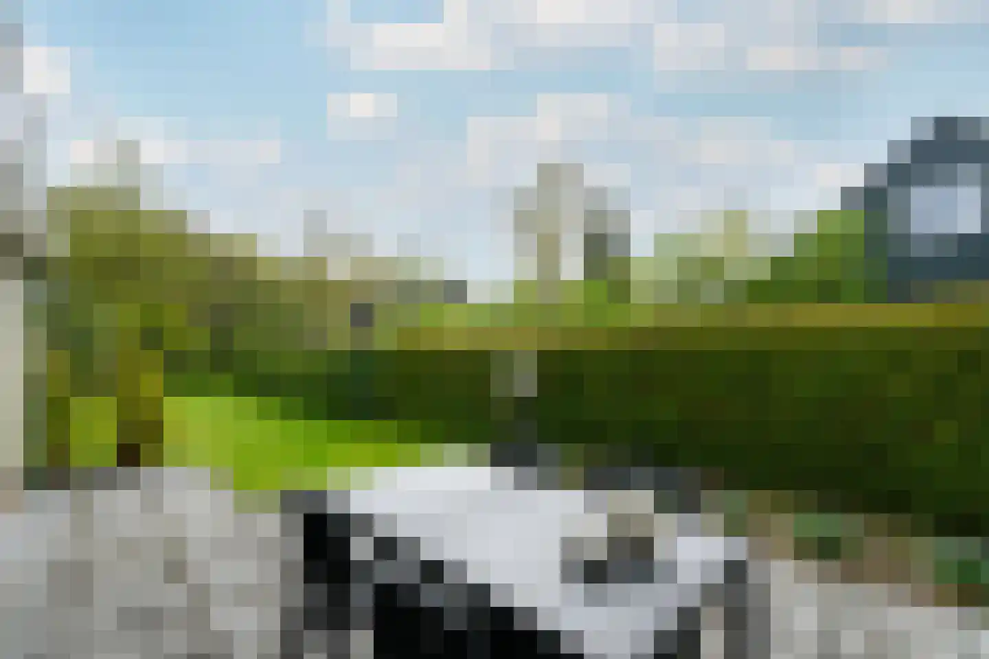Het Bosmeer 22 Noordwolde thumbnail 30