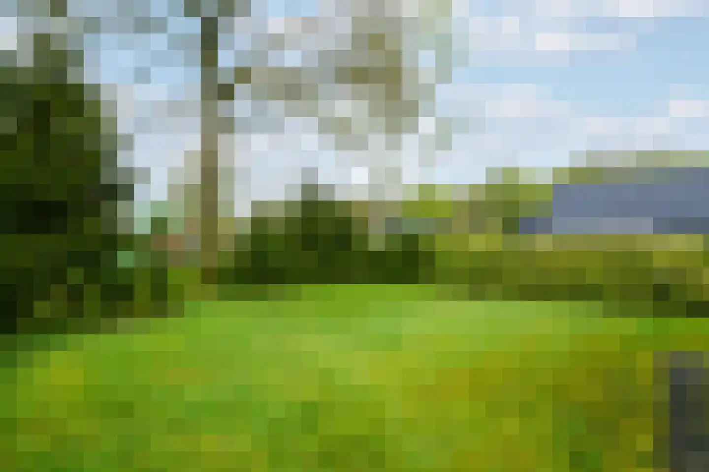 Het Bosmeer 22 Noordwolde thumbnail 32