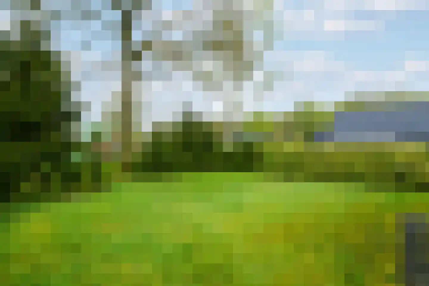 Het Bosmeer 22 Noordwolde thumbnail 32