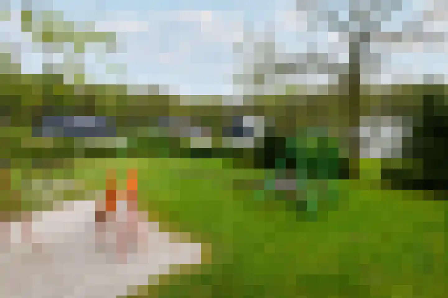 Het Bosmeer 22 Noordwolde thumbnail 33