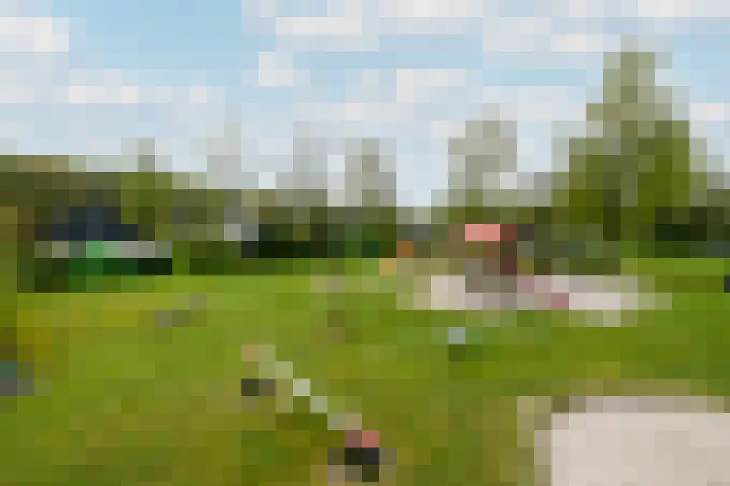 Het Bosmeer 22 Noordwolde thumbnail 34
