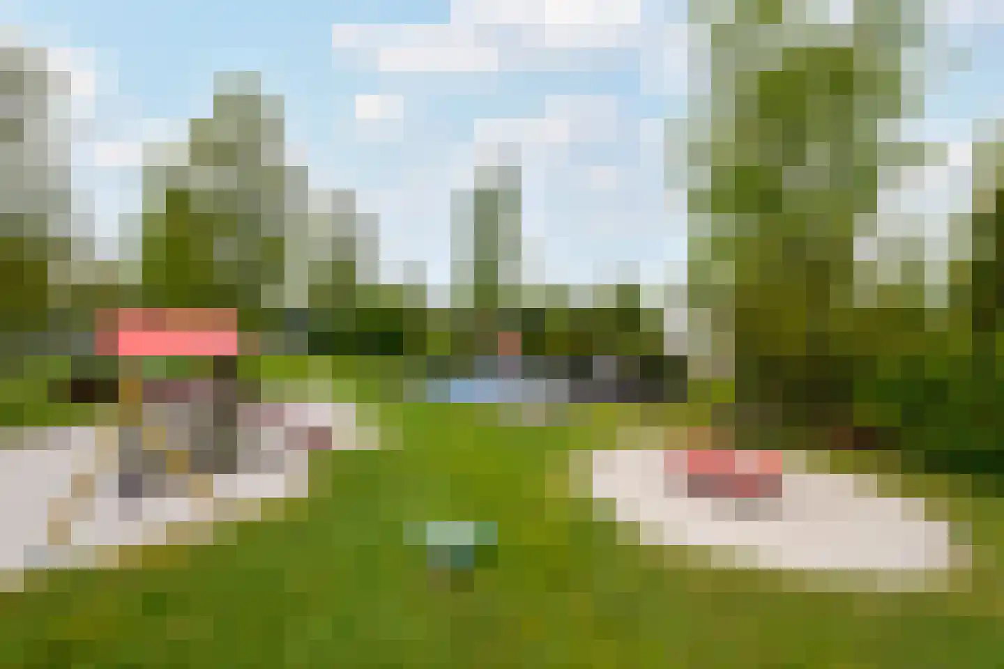 Het Bosmeer 22 Noordwolde thumbnail 35