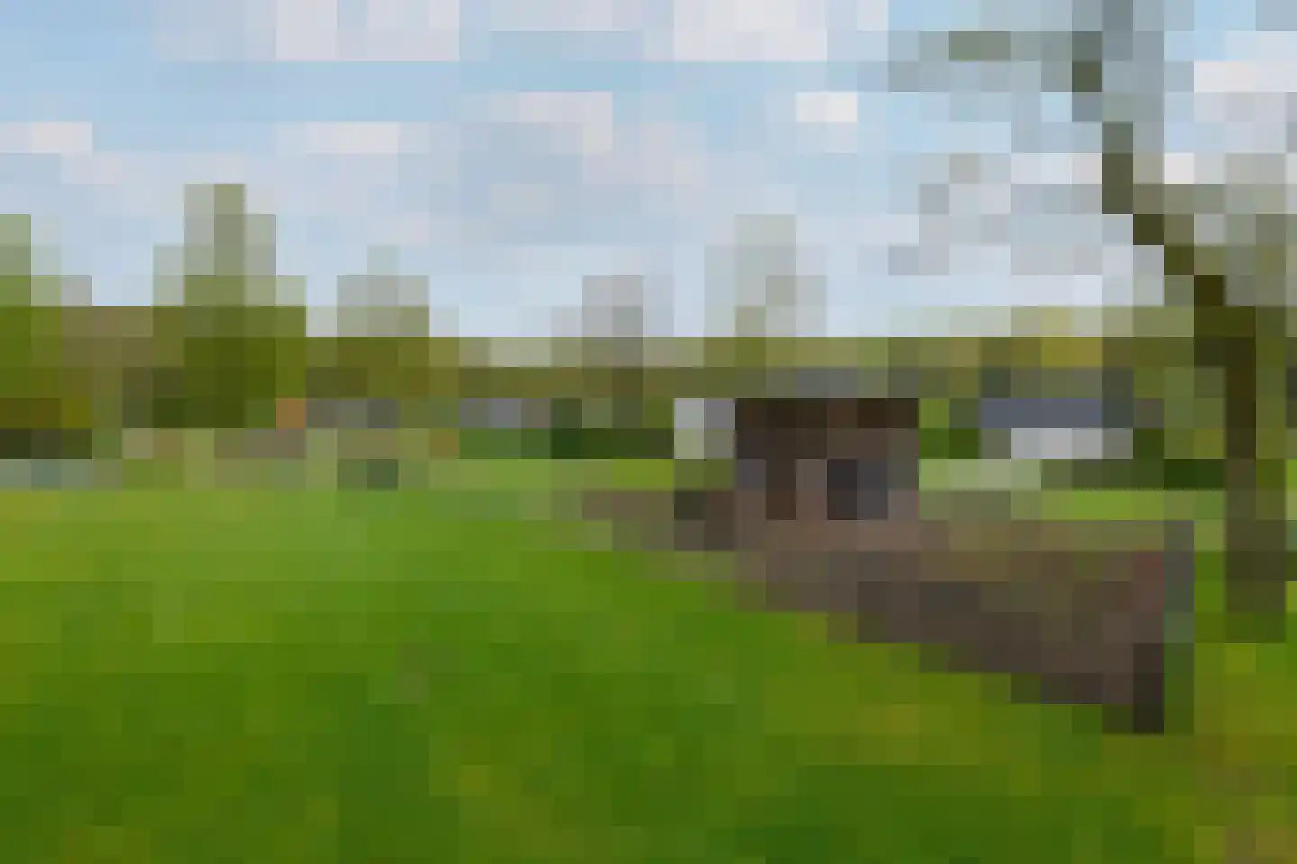 Het Bosmeer 22 Noordwolde thumbnail 36