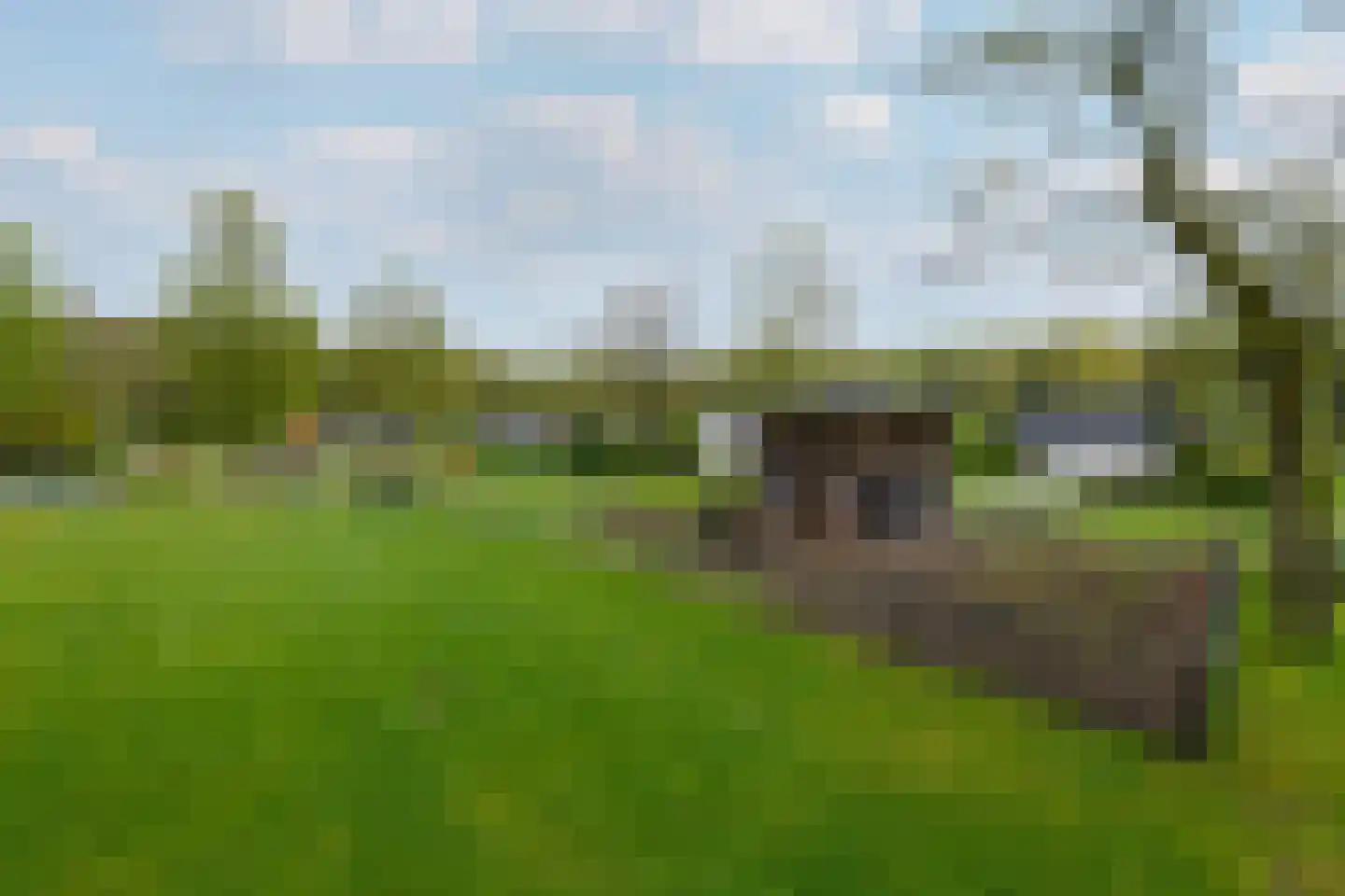Het Bosmeer 22 Noordwolde thumbnail 36