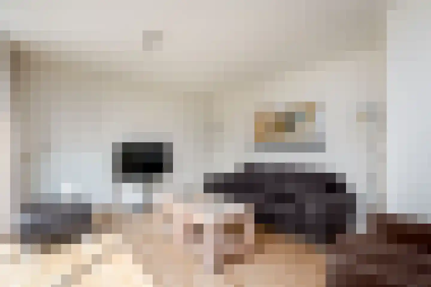 Het Bosmeer 22 Noordwolde thumbnail 5