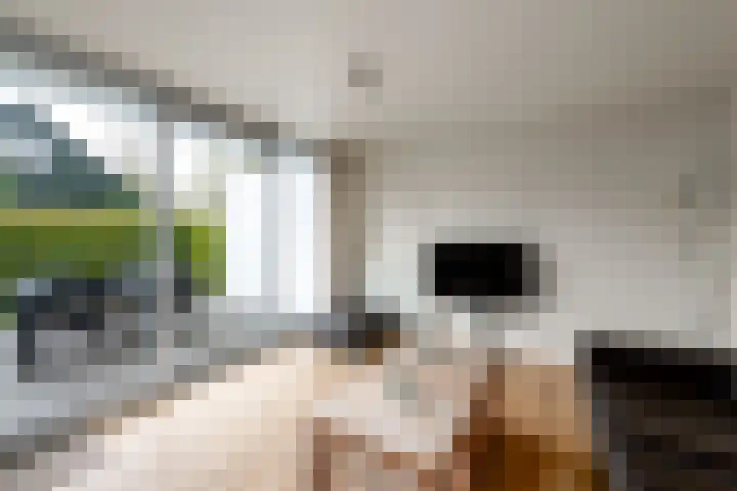 Het Bosmeer 22 Noordwolde thumbnail 6