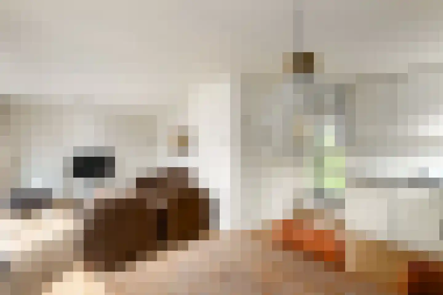 Het Bosmeer 22 Noordwolde thumbnail 8