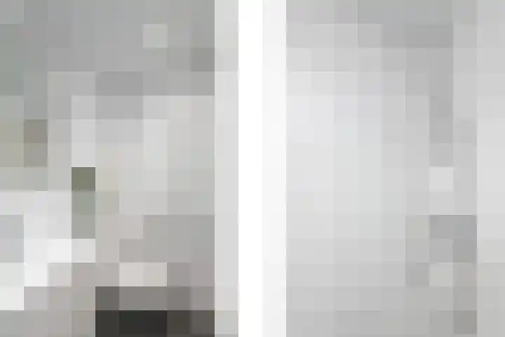 Het Bosmeer 23 Noordwolde thumbnail 13