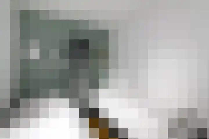 Het Bosmeer 23 Noordwolde thumbnail 14