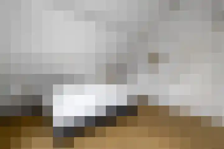 Het Bosmeer 23 Noordwolde thumbnail 17