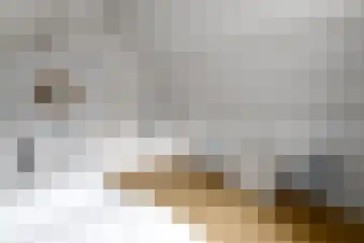 Het Bosmeer 23 Noordwolde thumbnail 18